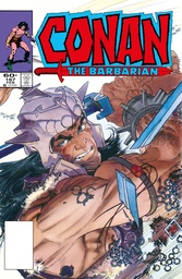 Conan the Barbarian: The Original Comics Omnibus Vol. 6 (Édition Direct Market couverture de Michael Wm. Kaluta)