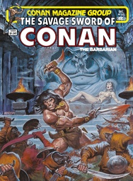 The Savage Sword of Conan: The Original Comics Omnibus Vol. 7